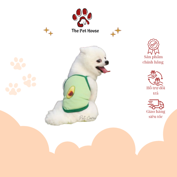 Áo cho chó đực mùa hè